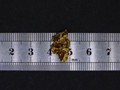 Highlands Scottish Gold Nugget, 2014  -2.033 image 7