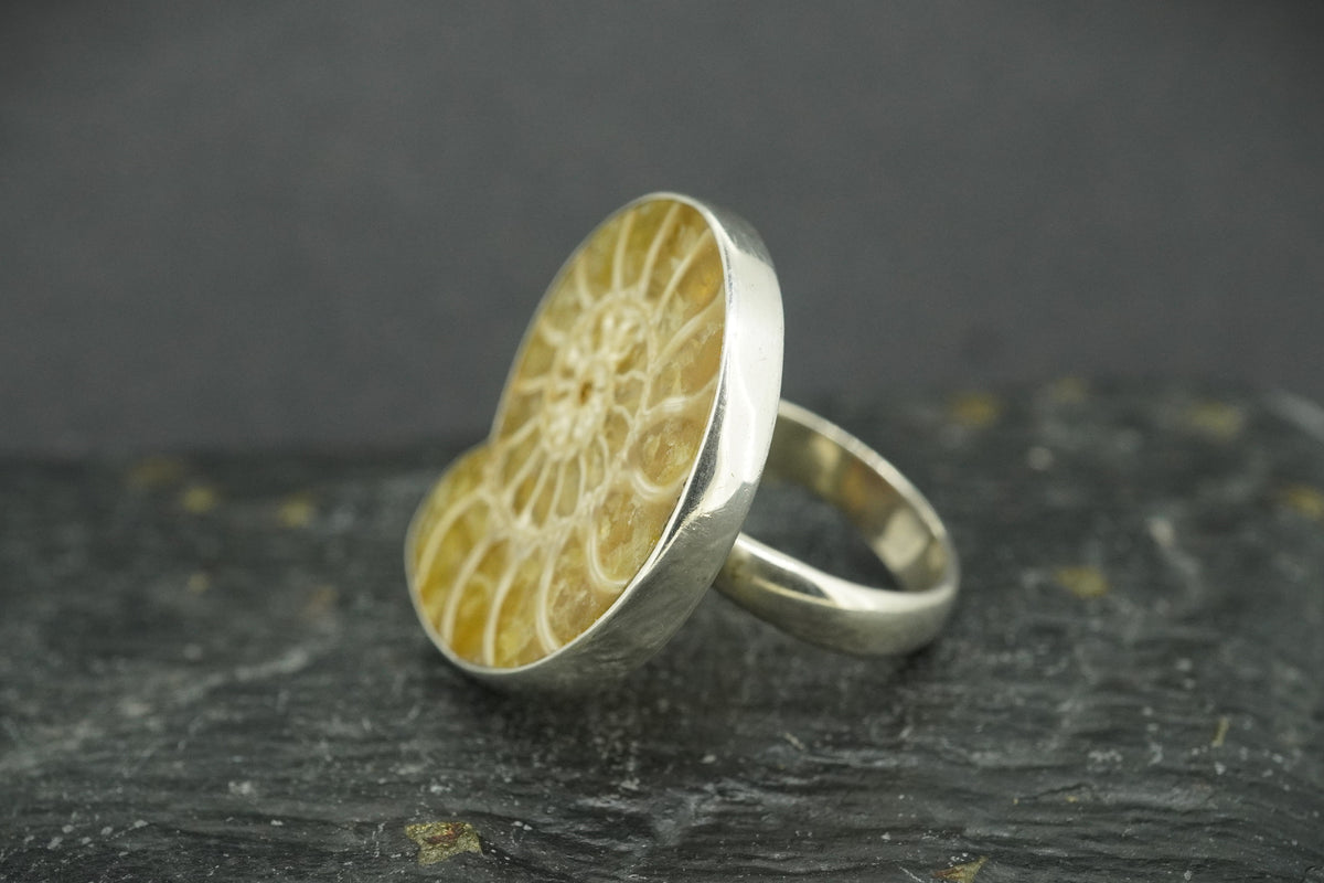Ammonite Sterling Silver Ring image 3