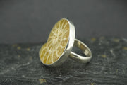 Ammonite Sterling Silver Ring image 3