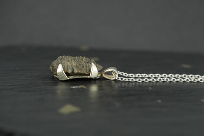 Trilobite Sterling Silver Pendant image 2
