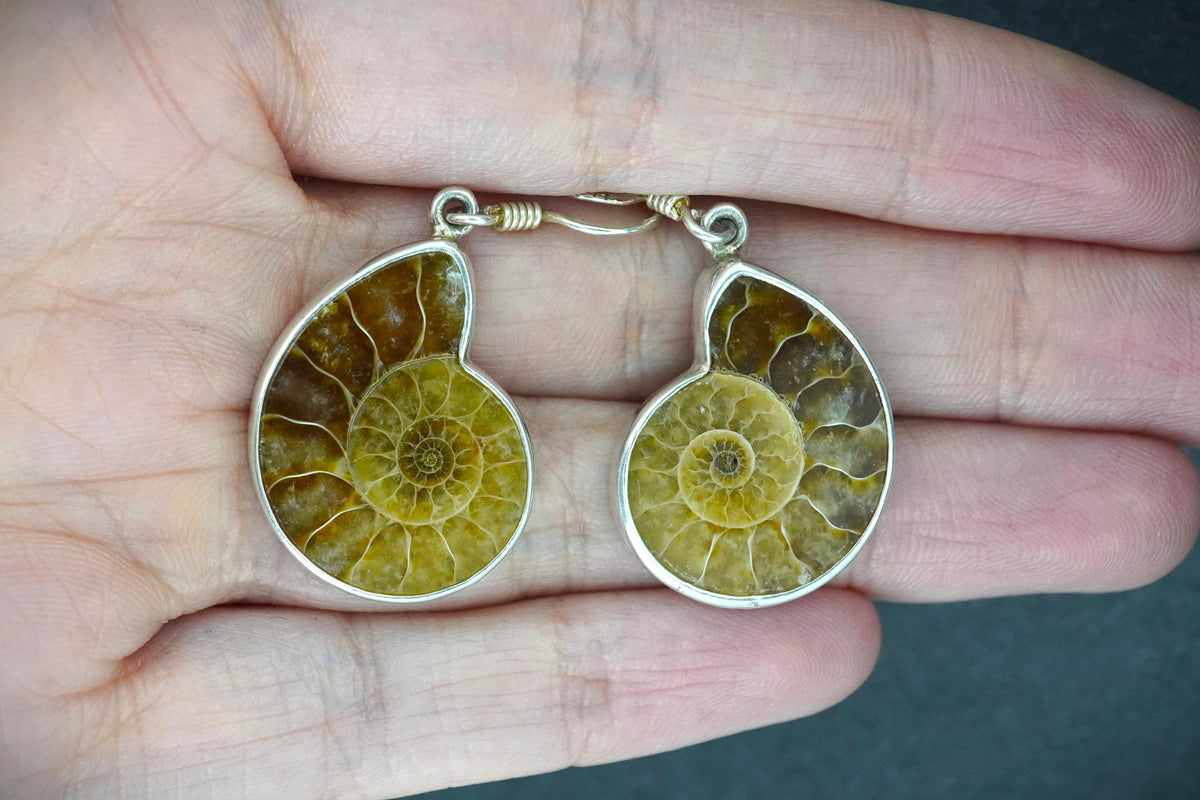 Ammonite Sterling Silver Drop Earrings image 1