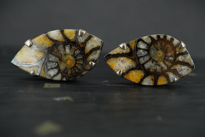 Ammonite Sterling Silver Cufflinks image 0