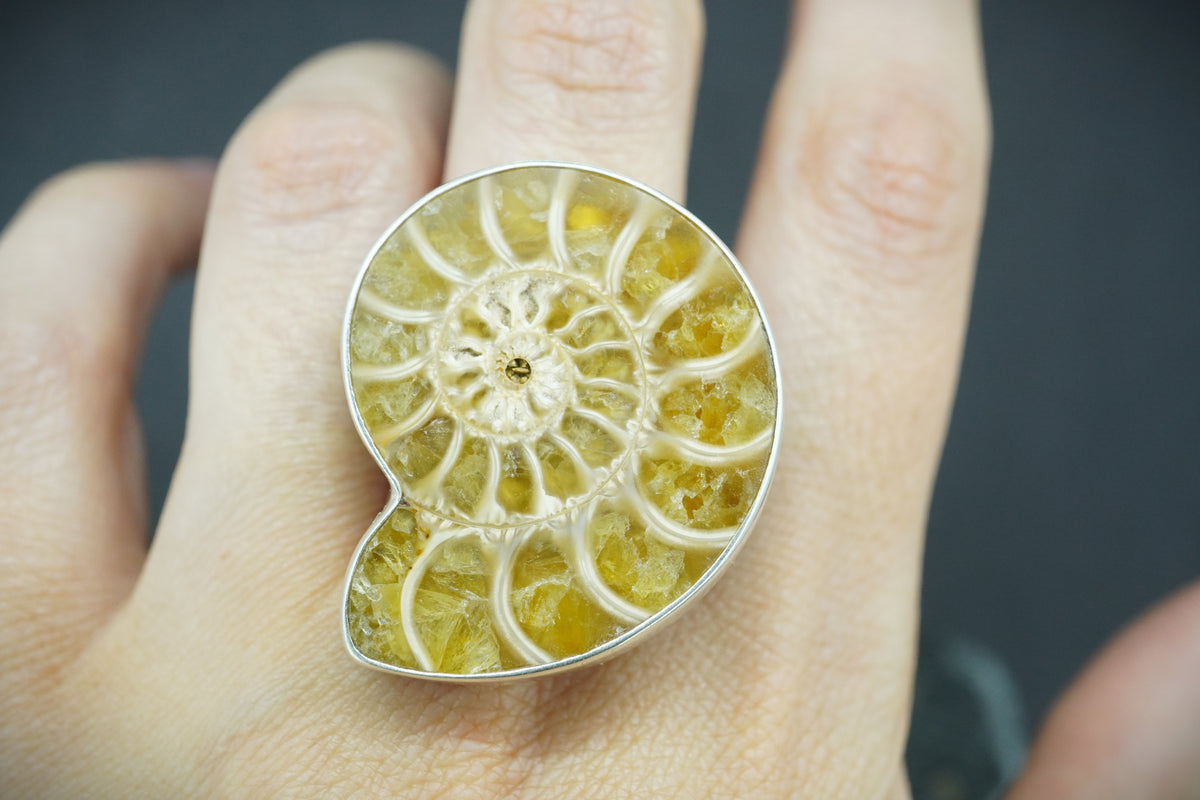 Ammonite Sterling Silver Ring image 1