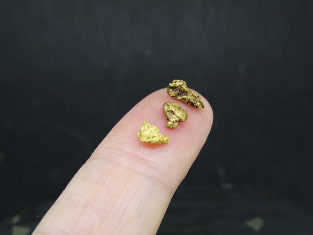 Scottish Highlands Gold Large 'Picker' Nuggets, 2015 - 0.7g image 4