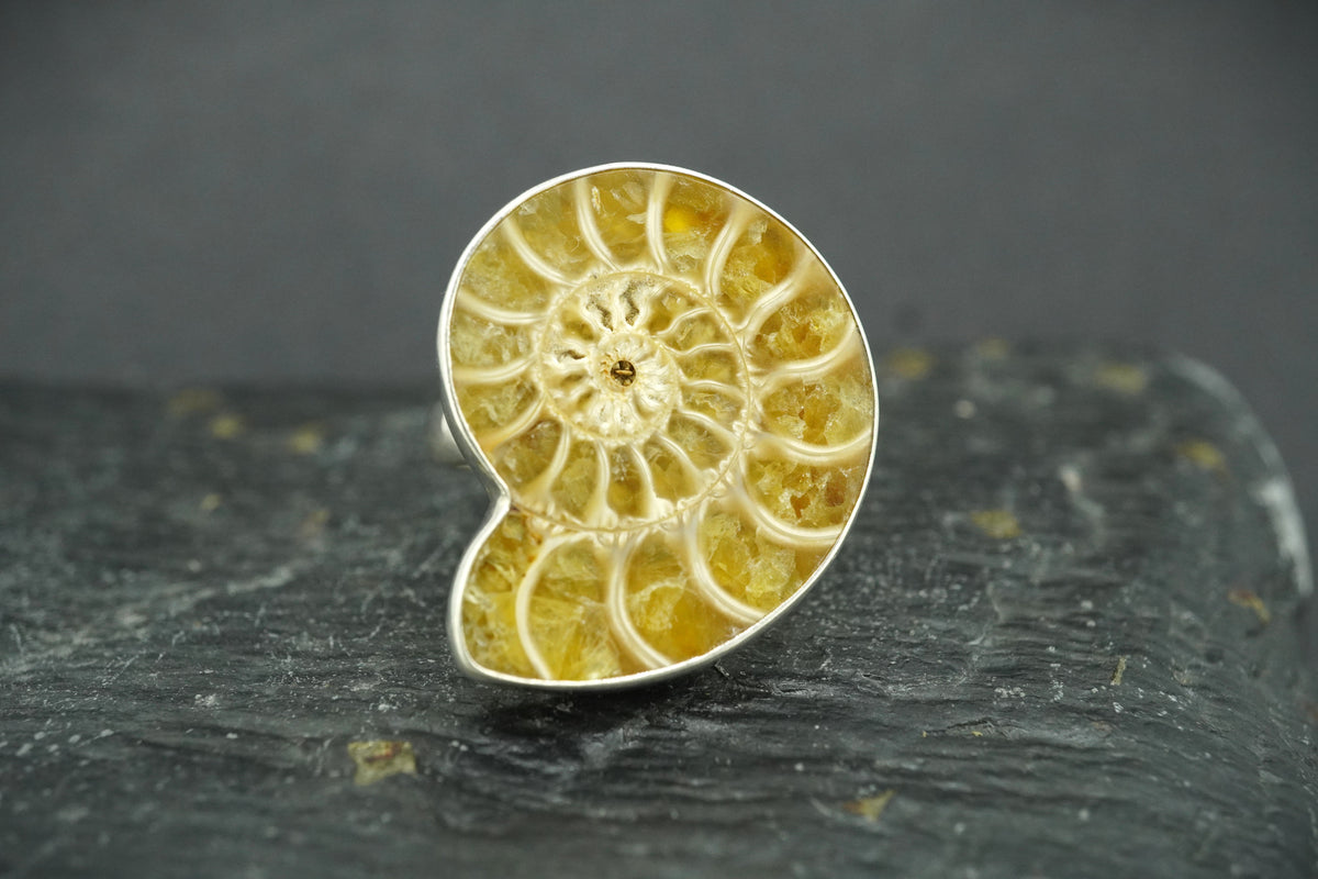 Ammonite Sterling Silver Ring image 0
