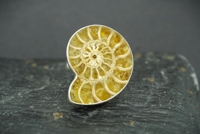 Ammonite Sterling Silver Ring image 0