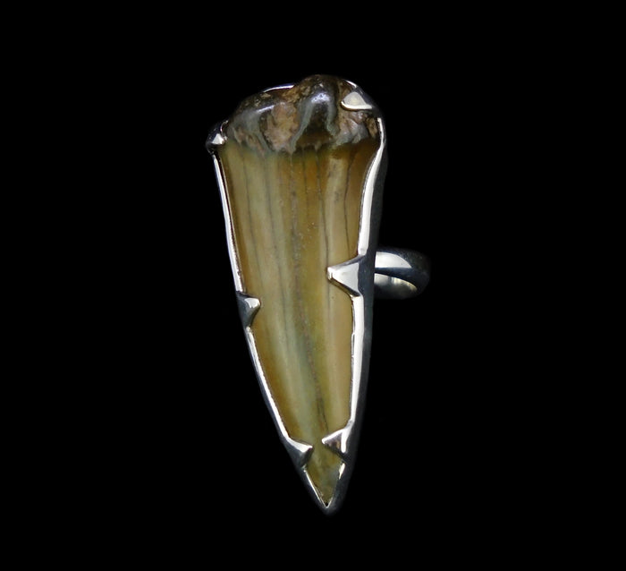 Fossilised Shark Tooth Sterling Silver Ring image 0
