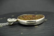 Honey Calcite Ammonite Sterling Silver Pendant image 3