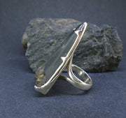 Fossilised Shark Tooth Sterling Silver Ring image 5