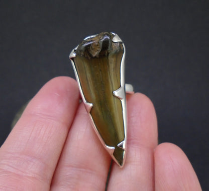Fossilised Shark Tooth Sterling Silver Ring image 3