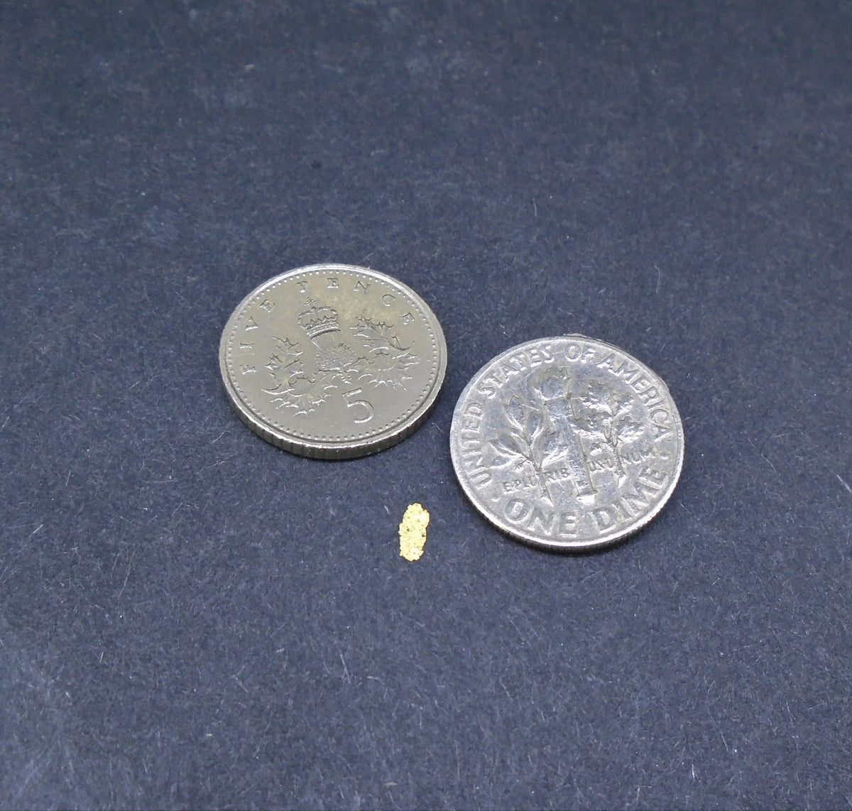 Gold Nugget Gift Pack (M) image 4