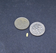 Gold Nugget Gift Pack (M) image 4