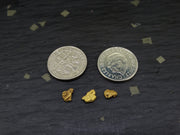 Scottish Highlands Gold Large 'Picker' Nuggets, 2015 - 0.752g image 8