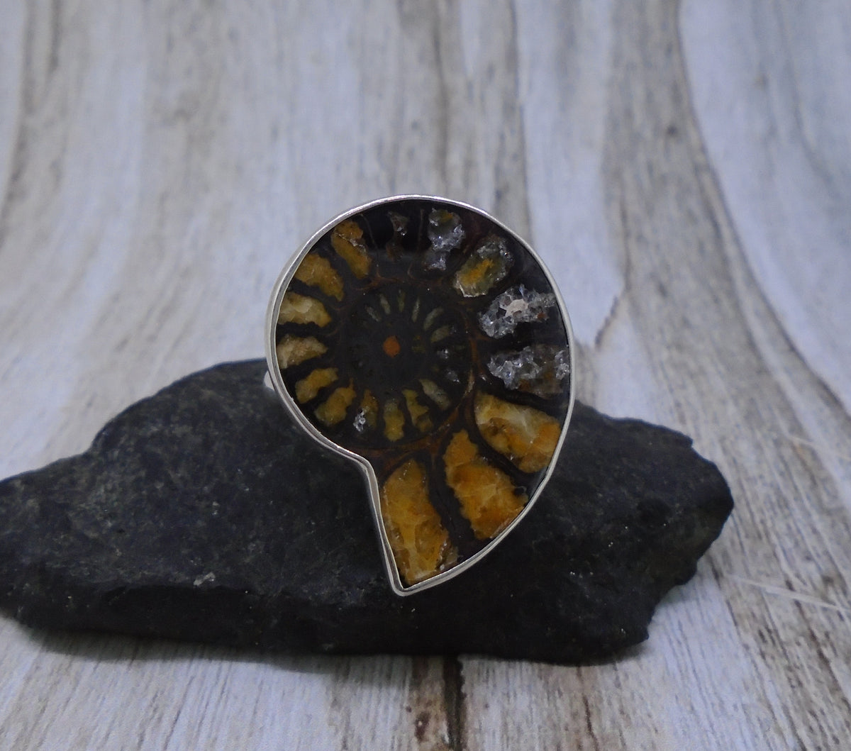 Rare Haematite Ammonite Sterling Silver Ring image 2