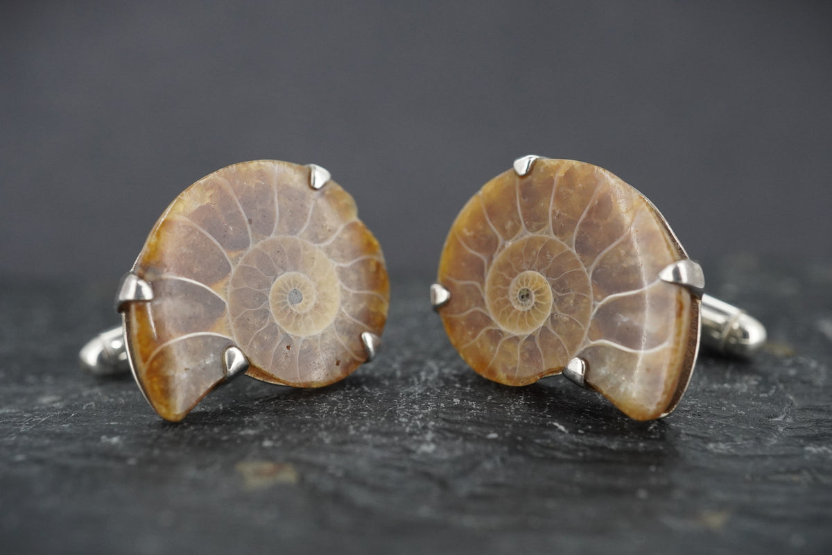 Ammonite Sterling Silver Cufflinks image 3
