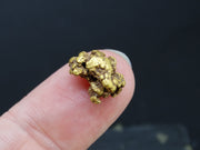 Highlands Scottish Gold Nugget, 2019  -2.338 image 2