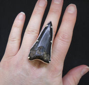 Fossilised Shark Tooth Sterling Silver Ring image 1
