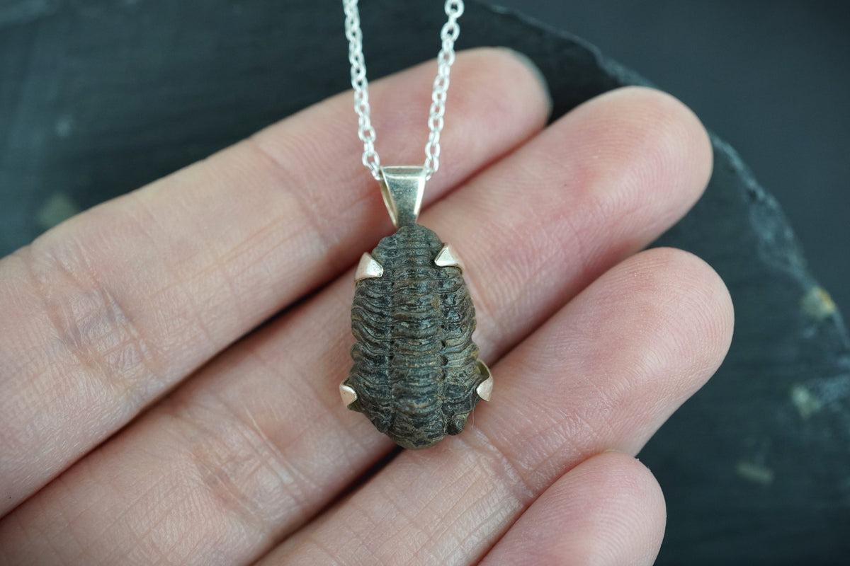 Trilobite Sterling Silver Pendant image 1