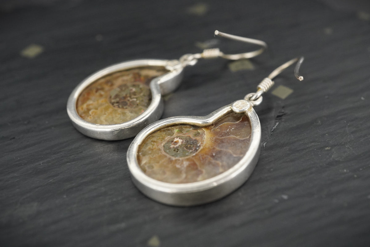 Ammonite Sterling Silver Drop Earrings image 3