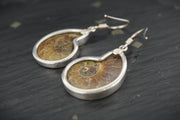 Ammonite Sterling Silver Drop Earrings image 3