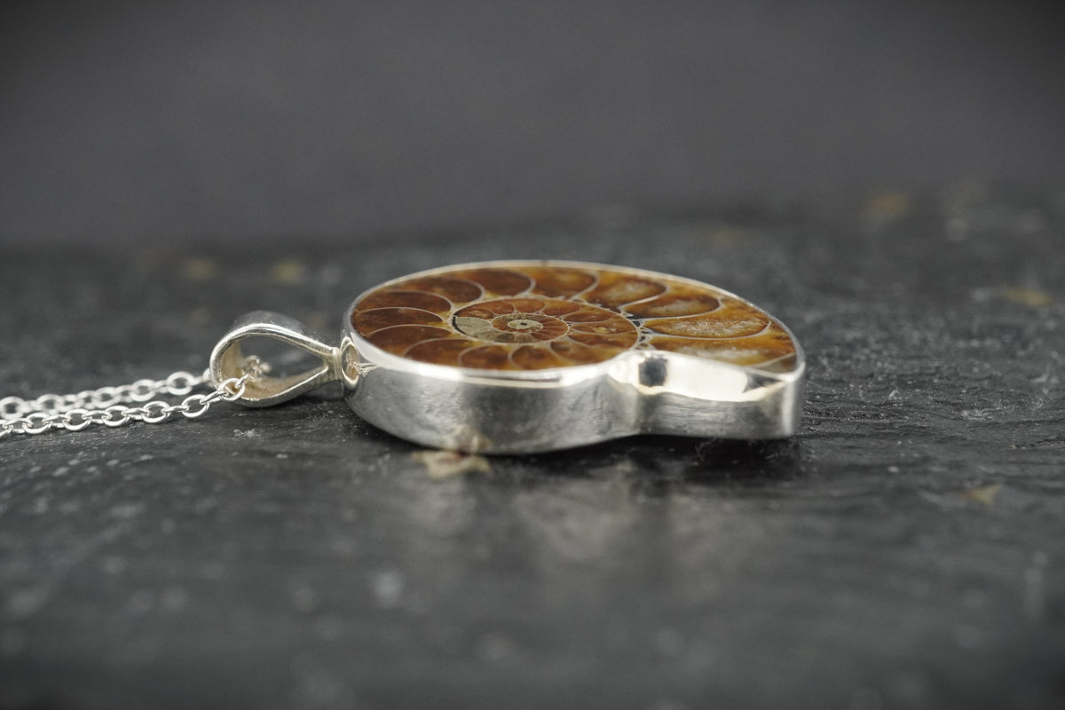 Ammonite Sterling Silver Pendant
