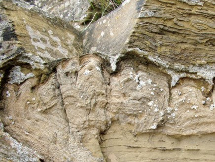 Ancient Scottish Stromatolite Egg