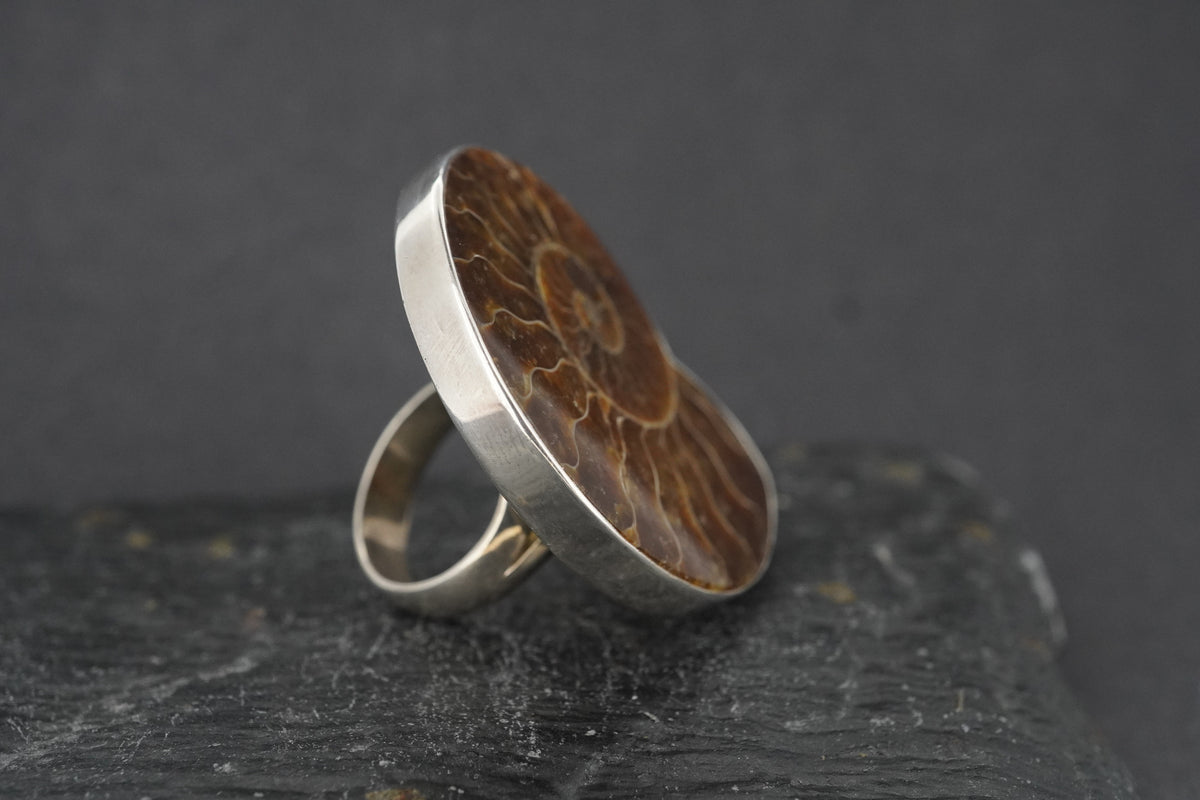 Large Ammonite Sterling Silver Ring