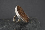 Large Ammonite Sterling Silver Ring