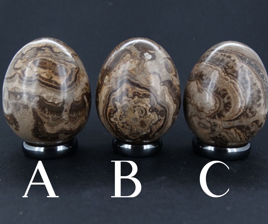 Ancient Scottish Stromatolite Egg