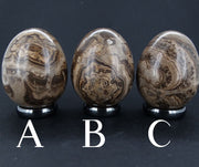 Ancient Scottish Stromatolite Egg