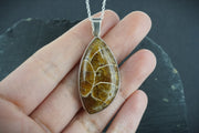 Ammonite Cabochon Sterling Silver Pendant