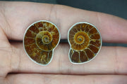 Ammonite Sterling Silver Cufflinks