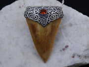 Great White Shark Tooth and Garnet Sterling Silver Pendant