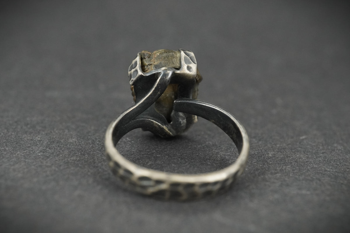 Trilobite Hammered Sterling Silver Adjustable Ring
