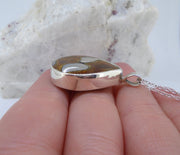 Turbo Shell Sterling Silver Pendant