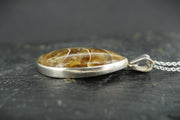 Ammonite Cabochon Sterling Silver Pendant