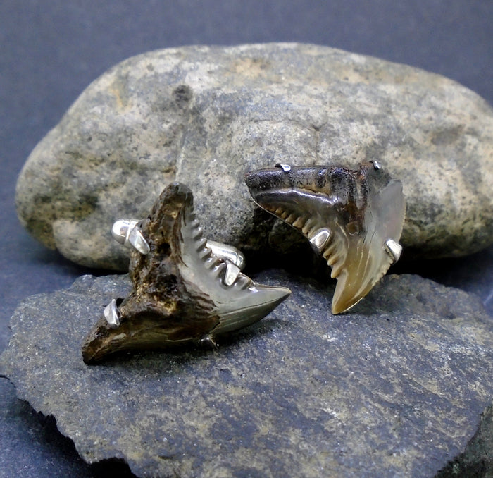 Fossilised Shark Tooth Sterling Silver Cufflinks