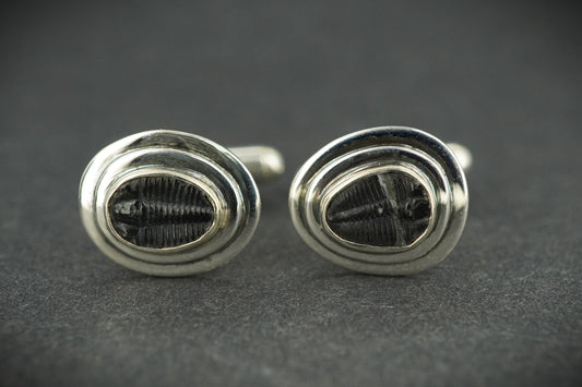Trilobite Sterling Silver Cufflinks 8x6mm