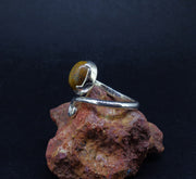 Campsie Fells Jasper Sterling Silver Celtic Ring