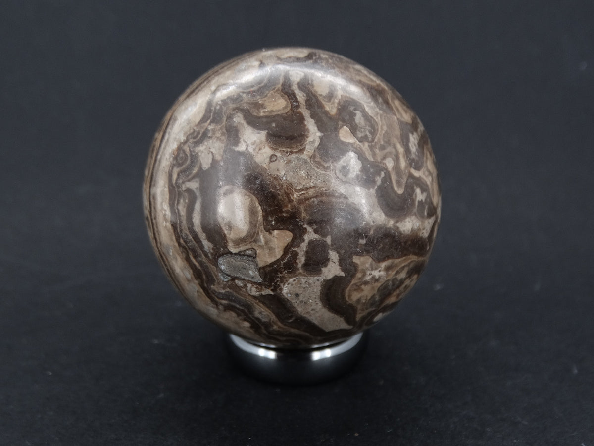 Ancient Scottish Stromatolite Carved Sphere
