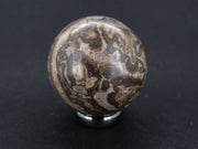 Ancient Scottish Stromatolite Carved Sphere