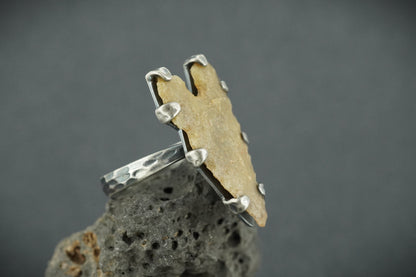 Neolithic Arrowhead Hammered Sterling Silver Ring