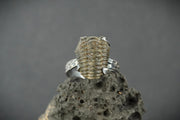 Trilobite Hammered Sterling Silver Adjustable Ring