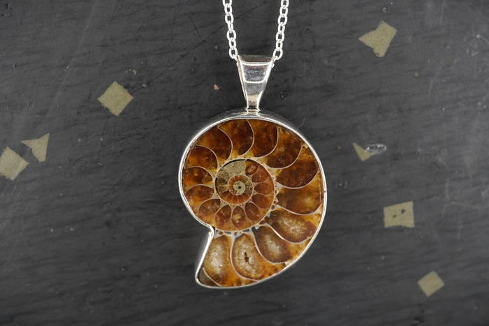 Ammonite Sterling Silver Pendant