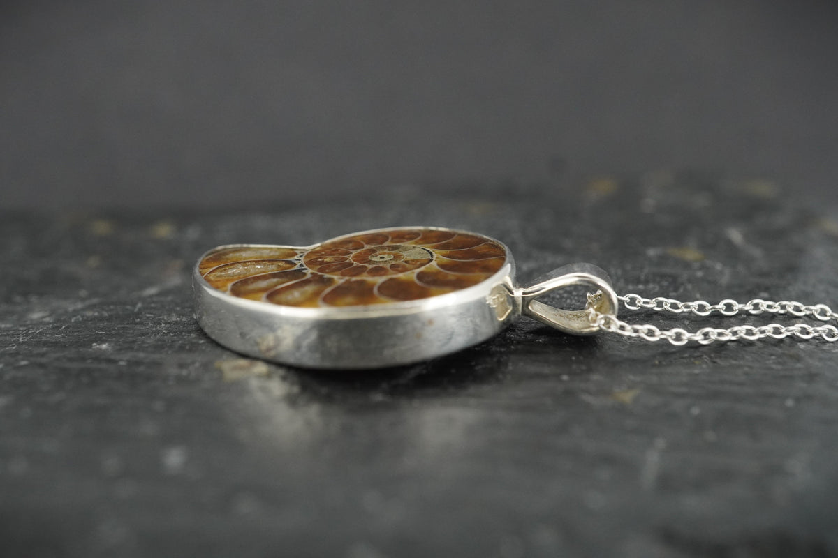 Ammonite Sterling Silver Pendant