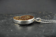 Ammonite Sterling Silver Pendant