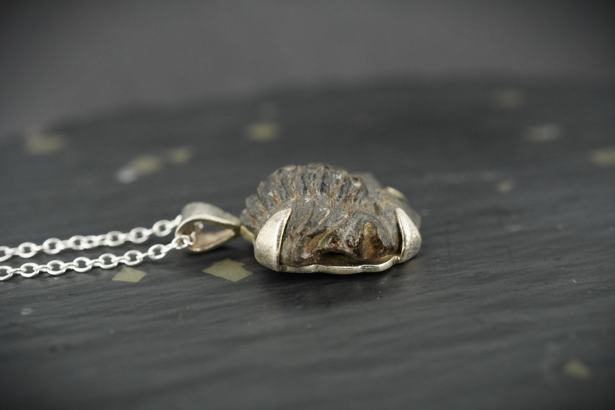 Trilobite Sterling Silver Pendant