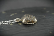 Trilobite Sterling Silver Pendant