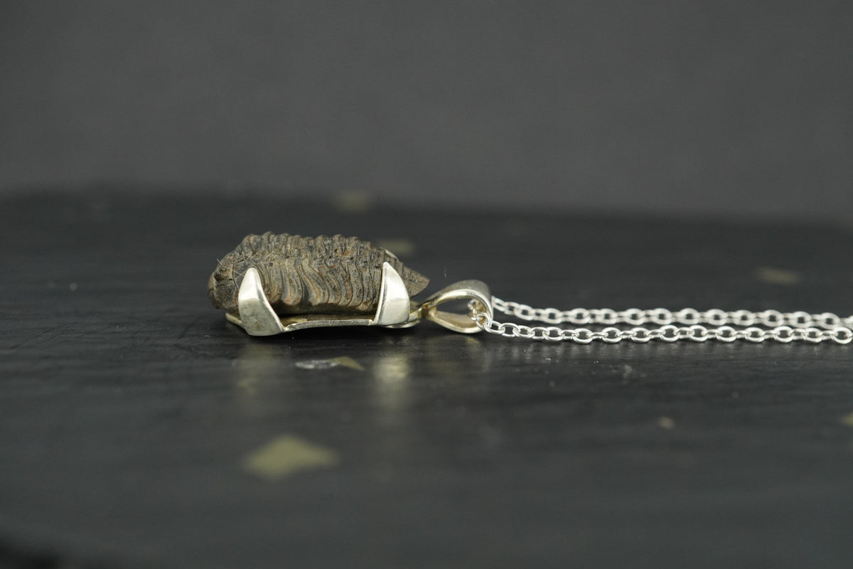 Trilobite Sterling Silver Pendant