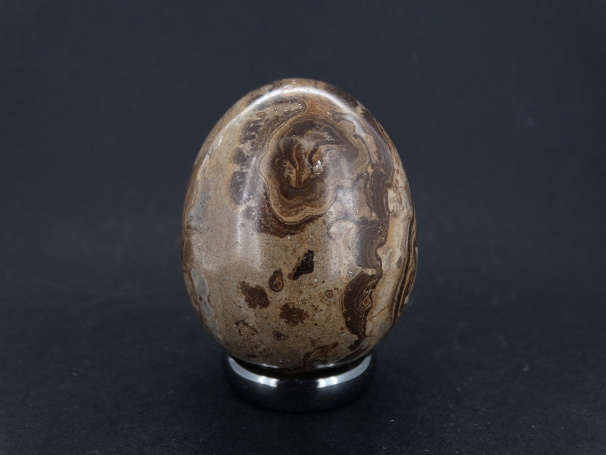 Ancient Scottish Stromatolite Egg